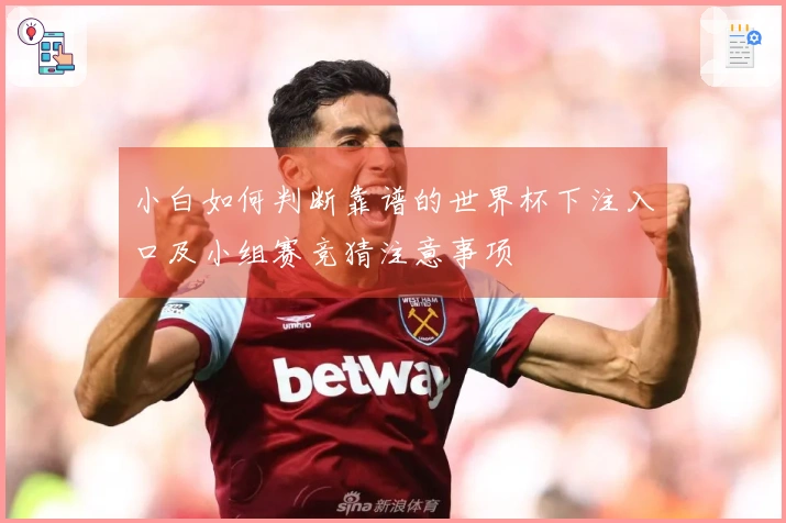小白如何判断靠谱的世界杯下注入口及小组赛竞猜注意事项