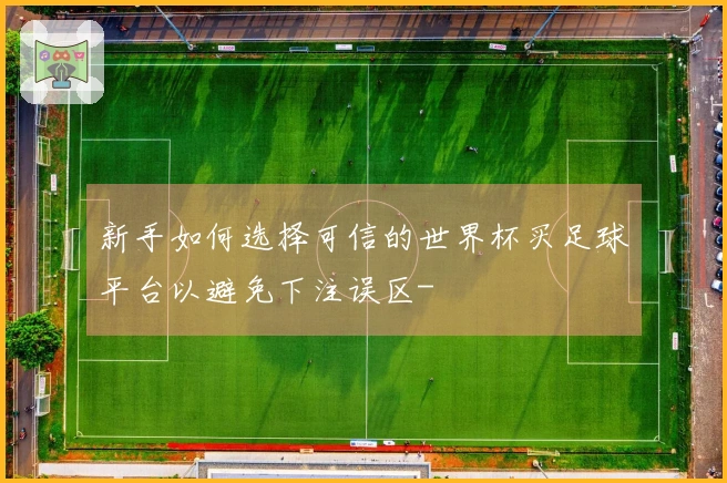 新手如何选择可信的世界杯买足球平台以避免下注误区-