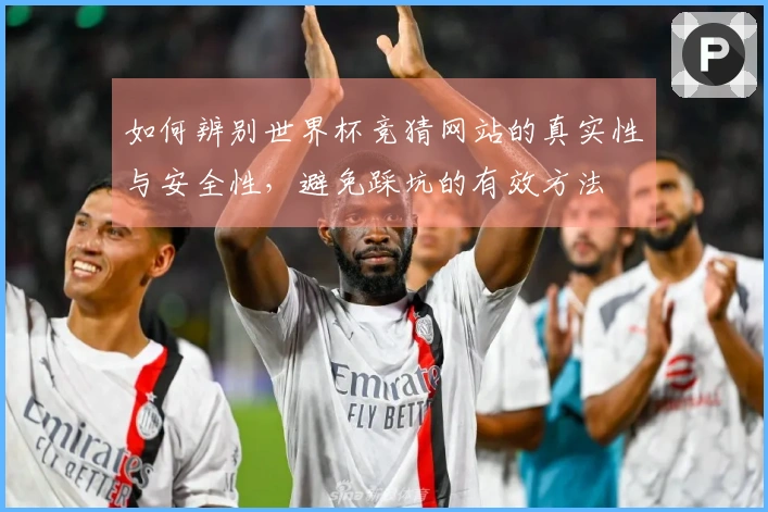 如何辨别世界杯竞猜网站的真实性与安全性,避免踩坑的有效方法