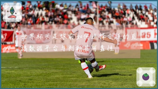 世界杯买足球前如何选择合适的直播数据平台与判断其可靠性