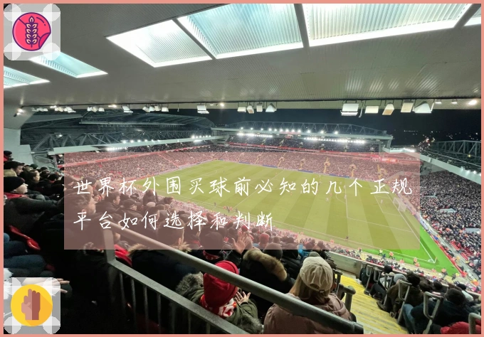世界杯外围买球前必知的几个正规平台如何选择和判断
