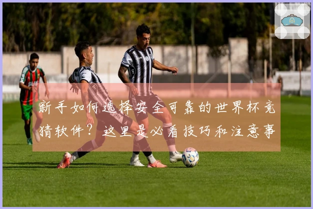 新手如何选择安全可靠的世界杯竞猜软件？这里是必看技巧和注意事项