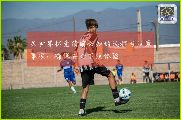 买世界杯竞猜前必知的流程与注意事项，确保安全下注体验