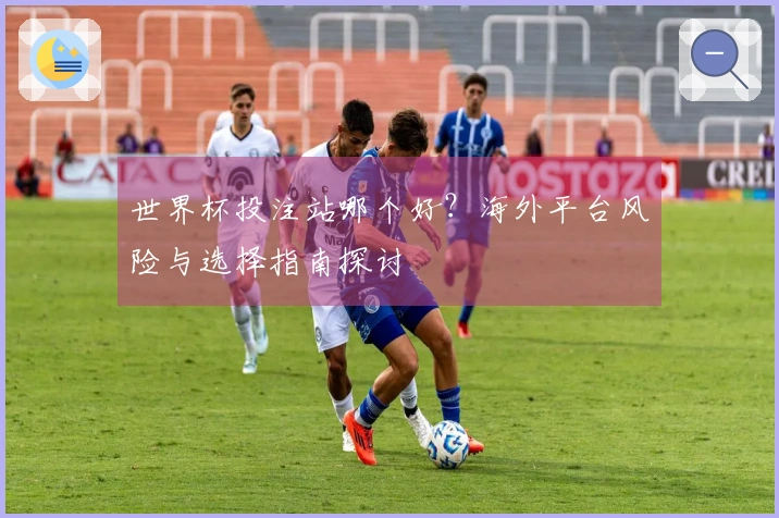 世界杯投注站哪个好？海外平台风险与选择指南探讨