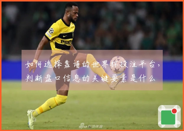 如何选择靠谱的世界杯投注平台,判断盘口信息的关键要素是什么