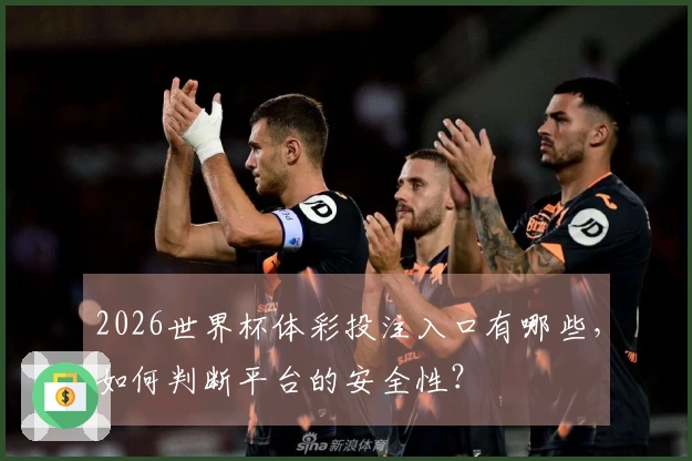 2026世界杯体彩投注入口有哪些,如何判断平台的安全性?