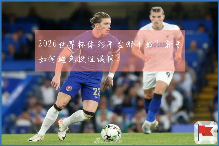 2026世界杯体彩平台哪个好？新手如何避免投注误区？