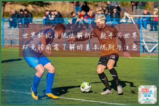 世界杯比分玩法解析：新手买世界杯竞猜前需了解的基本规则与注意事项