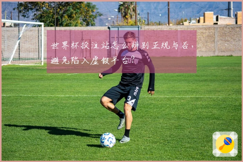 世界杯投注站怎么辨别正规与否，避免陷入虚假平台？