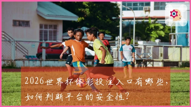 2026世界杯体彩投注入口有哪些，如何判断平台的安全性？