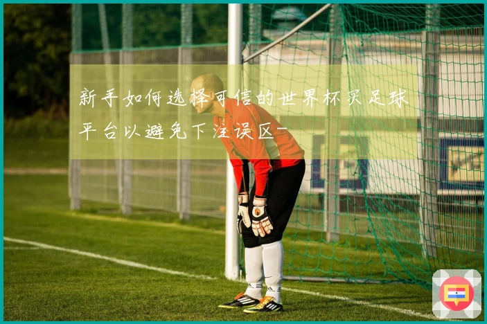 新手如何选择可信的世界杯买足球平台以避免下注误区-