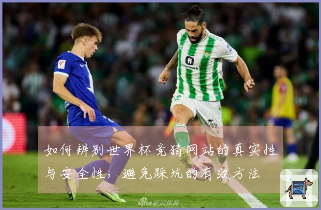如何辨别世界杯竞猜网站的真实性与安全性，避免踩坑的有效方法