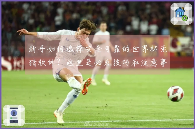 新手如何选择安全可靠的世界杯竞猜软件？这里是必看技巧和注意事项