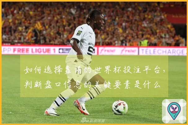 如何选择靠谱的世界杯投注平台，判断盘口信息的关键要素是什么