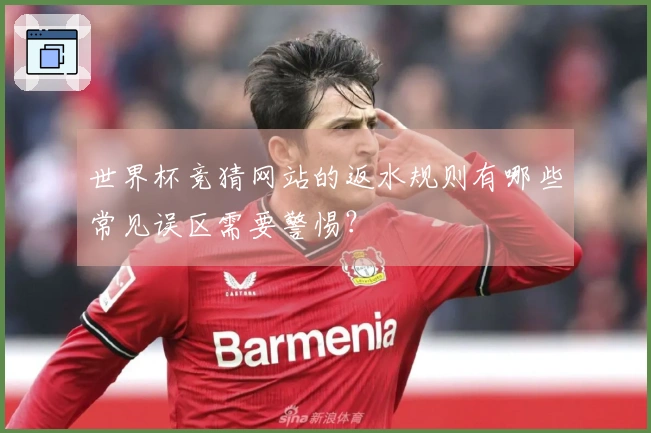 世界杯竞猜网站的返水规则有哪些常见误区需要警惕？
